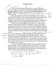 essay on student